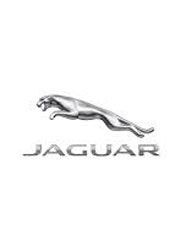 Jaguar Logo 1 - Find a Dealer - CMH